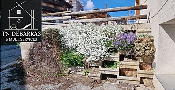 Avant : situation initiale, végétation et anciennes jardinières