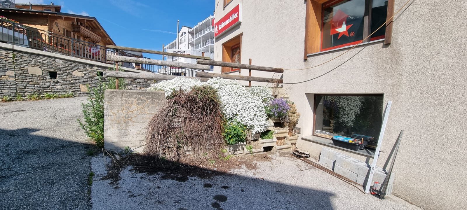 Avant : situation initiale, végétation et anciennes jardinières