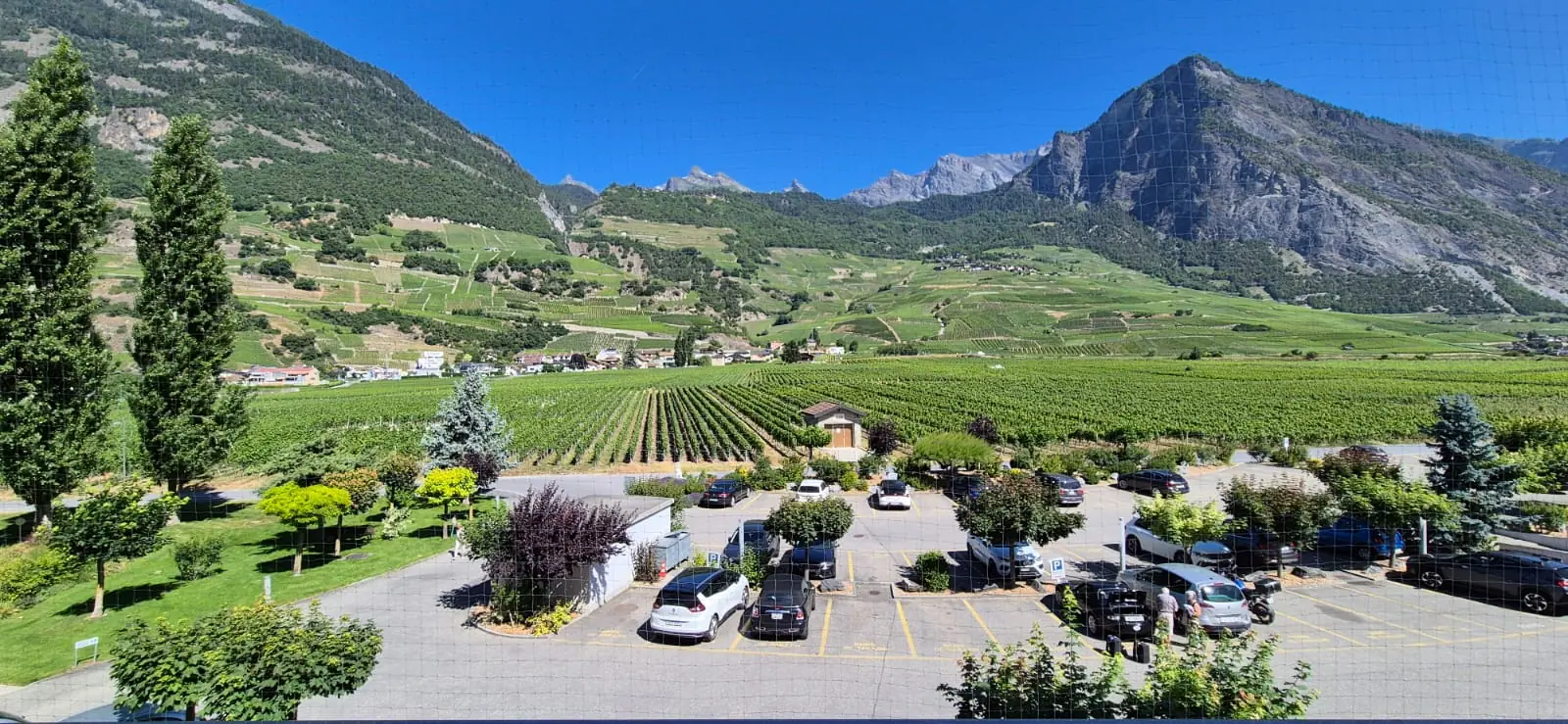 Filet de balcon avec vue sur les vignes du Valais